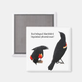 Aimant Oiseau noir à ailes rouges (Recto/Verso)