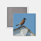 Aimant Oiseau précoce (Recto/Verso)