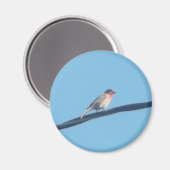 Aimant Oiseau sur fil (Recto/Verso)