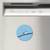 Aimant Oiseau sur fil (In Situ (Lave-vaisselle))