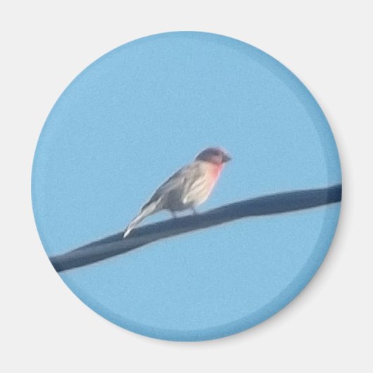 Aimant Oiseau sur fil (Devant)
