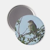 Aimant Oiseau sur la branche (Recto/Verso)
