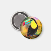 Aimant Oiseau Toco Toucan Exotique (Recto/Verso)
