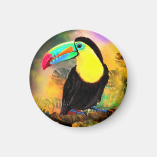 Aimant Oiseau Toco Toucan Exotique