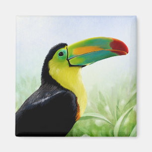 Aimant Oiseau tropical coloré Noir Jaune Vert Toucan