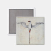 Aimant Oiseau tropique (Recto/Verso)