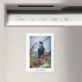 Aimant Oiseau Tui de Nouvelle-Zélande (In Situ (Lave-vaisselle))