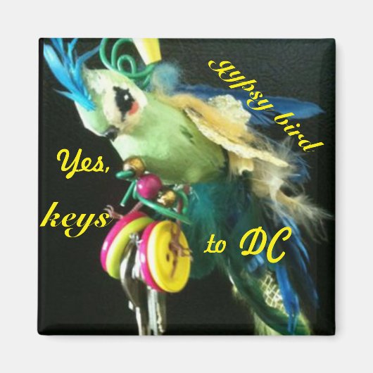 Aimant Oiseau tzigane (Devant)