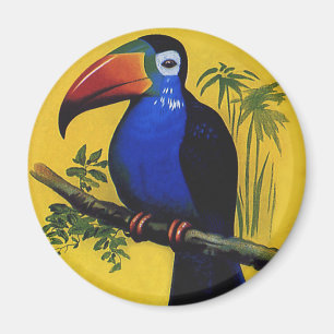 Aimant Oiseaux Animaux Sauvages Vintage, Toucan Tropical 