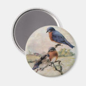 Aimant Oiseaux bleus de l'Est avec bébé (Recto/Verso)