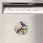 Aimant Oiseaux bleus de l'Est avec bébé (In Situ (Lave-vaisselle))