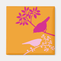 Oiseaux colorés