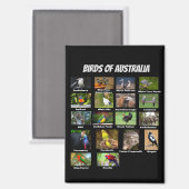 Aimant Oiseaux d'Australie (Recto/Verso)