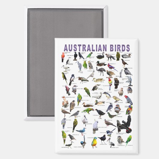 Aimant Oiseaux d'Australie (Recto/Verso)