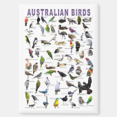 Aimant Oiseaux d'Australie (Recto)