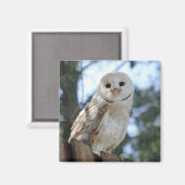 Aimant Oiseaux de hibou Plumes d'animaux Nature Paix Aime (Recto/Verso)