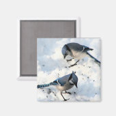 Aimant Oiseaux de Jay Bleu dans la nature des neiges (Recto/Verso)