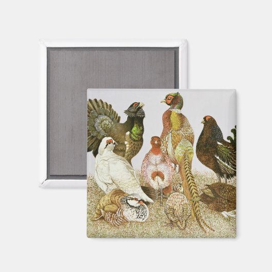 Aimant Oiseaux de jeu (Recto/Verso)