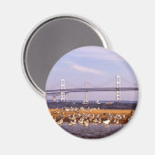 Aimant Oiseaux de la baie de Chesapeake (Recto/Verso)