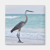 Aimant oiseaux de plage de Floride (Devant)