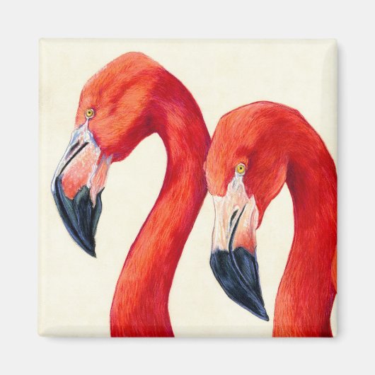 Aimant Oiseaux De Plumes - Flamants roses Plus Grands (Devant)