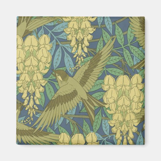Aimant Oiseaux et bactéries (Devant)
