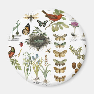 Aimant oiseaux et fleurs vintages