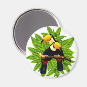 Aimant Oiseaux exotiques (Recto/Verso)