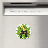 Aimant Oiseaux exotiques (In Situ (Lave-vaisselle))
