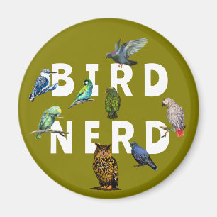 Aimant OISEAUX NERD, perroquets, hibou, pigeons, kookabur