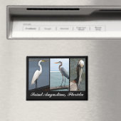 Aimant Oiseaux tropicaux St. Augustine, Floride (In Situ (Lave-vaisselle))
