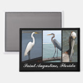 Aimant Oiseaux tropicaux St. Augustine, Floride (Recto/Verso)