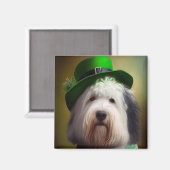 Aimant Old English Sheepdog en tenue de la Saint-Patrick (Recto/Verso)