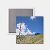 Aimant Old Stone Cabin at Gaylor Lakes, Tioga Pass, CA (Recto/Verso)