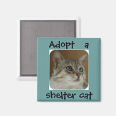 Aimant Ole Blue Eyes (Recto/Verso)