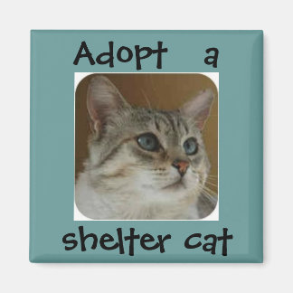 Aimant Ole Blue Eyes