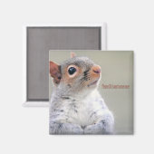 Aimant Oliver Twist Squirrel (Recto/Verso)