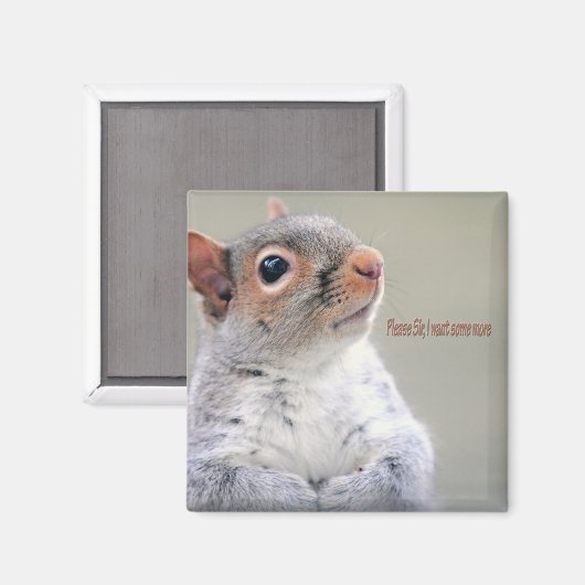 Aimant Oliver Twist Squirrel (Recto/Verso)