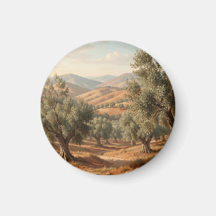 Aimant Oliveraie Collines ondoyantes Campagne toscane