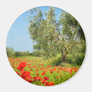 Aimant Olivier dans l'aimant rond de champ de pavot