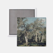 Aimant Oliviers, Corfou, 1912 (Recto/Verso)