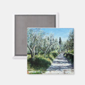 AIMANT OLIVIERS DANS LE PAYSAGE TOSCANE (Recto/Verso)