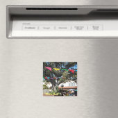 Aimant Olvera Street - Los Angeles (In Situ (Lave-vaisselle))