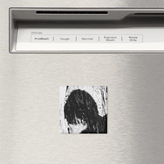 Aimant ombre ado (In Situ (Lave-vaisselle))