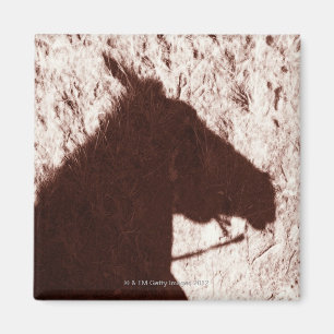 Aimant ombre de la tête de cheval d'équitation sur le