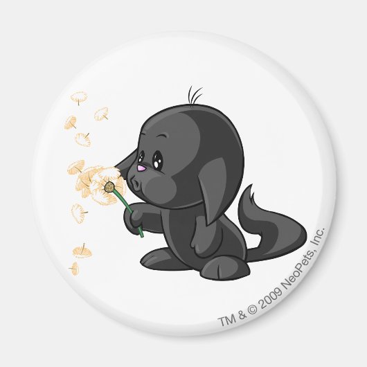 Aimant Ombre Kacheek (Devant)