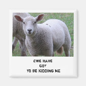 Aimant On doit se moquer de moi (Devant)