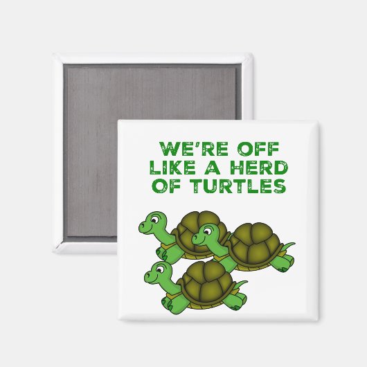 Aimant On est comme un troupeau de tortues Drôle design (Recto/Verso)