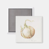 Aimant Onion Study 1993 (Recto/Verso)