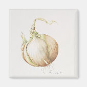 Aimant Onion Study 1993 (Devant)